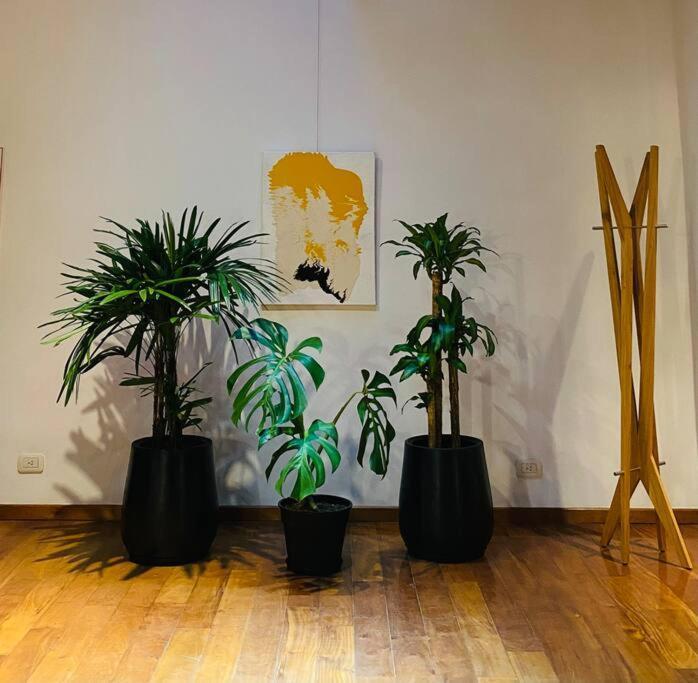 Arts Loft, A Estrenar! Buenos Aires公寓 外观 照片